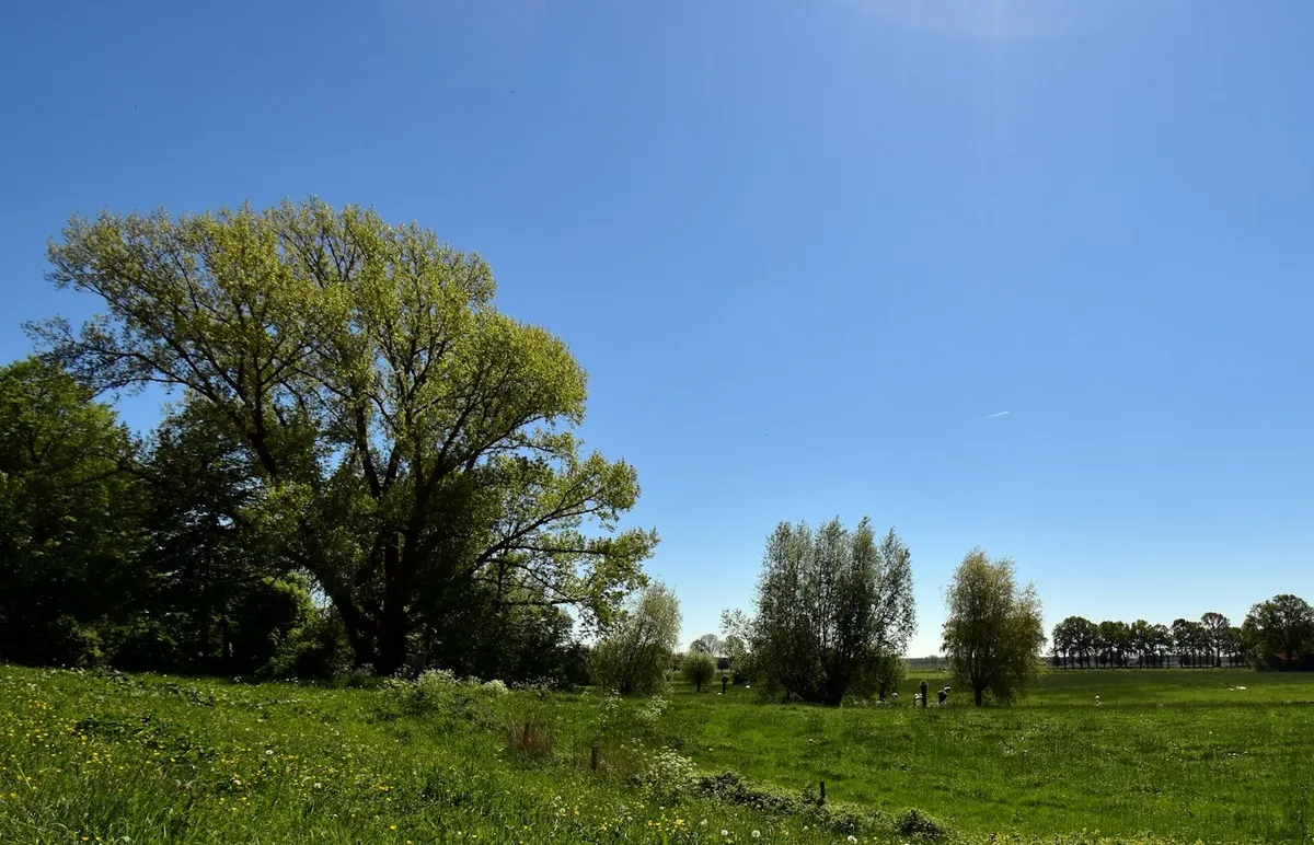 Hinsdale Historical Society